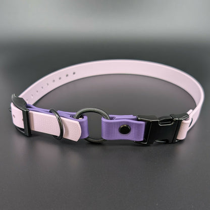 lavender and dark purple biothane e-collar strap with bungee and quick release buckle