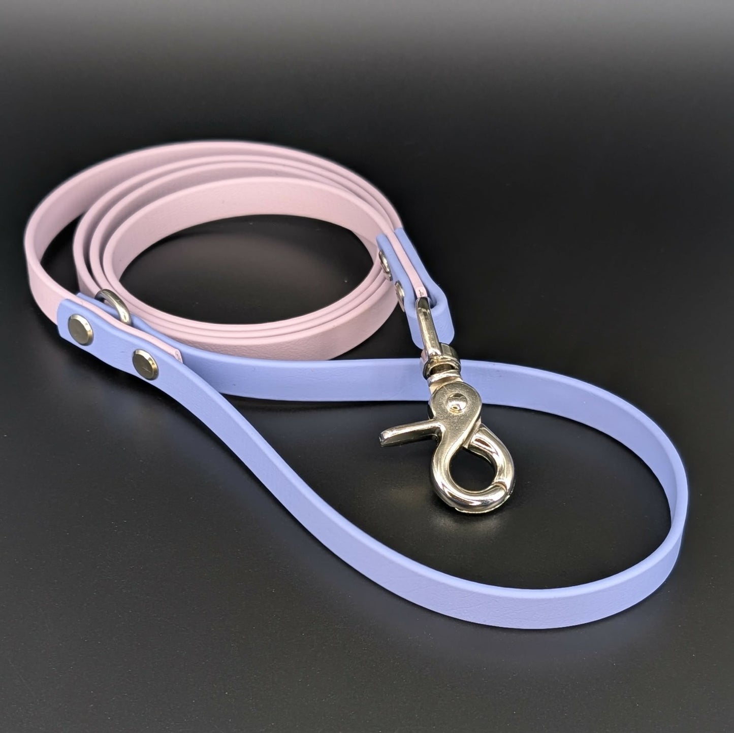 lavender and periwinkle blue biothane dog leash