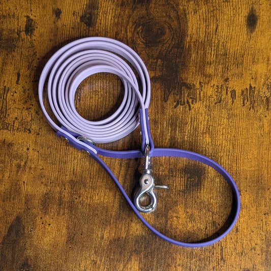 lavender and purple biothane dog leash