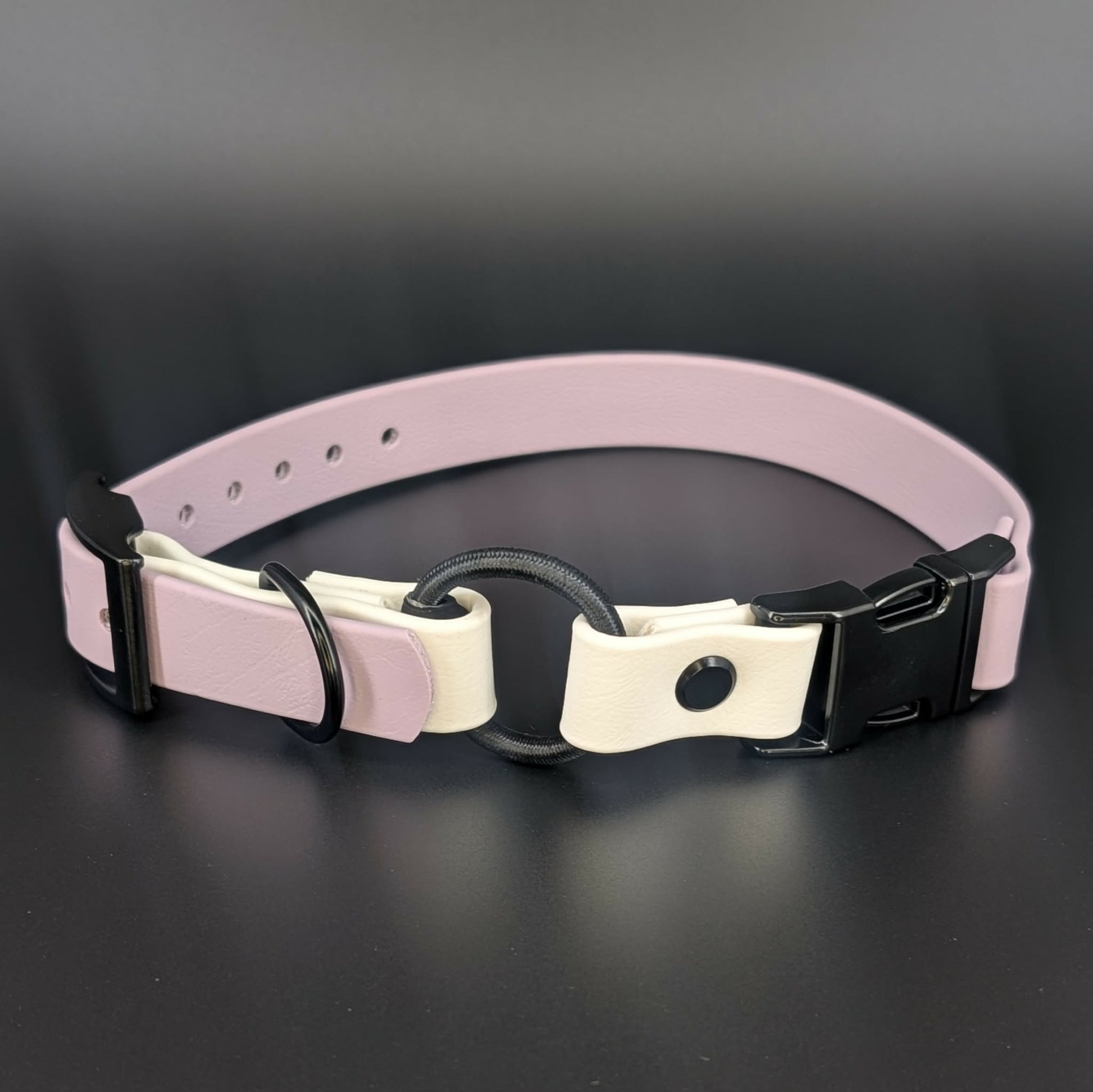 lavender and white biothane e-collar strap with bungee and quick release buckle