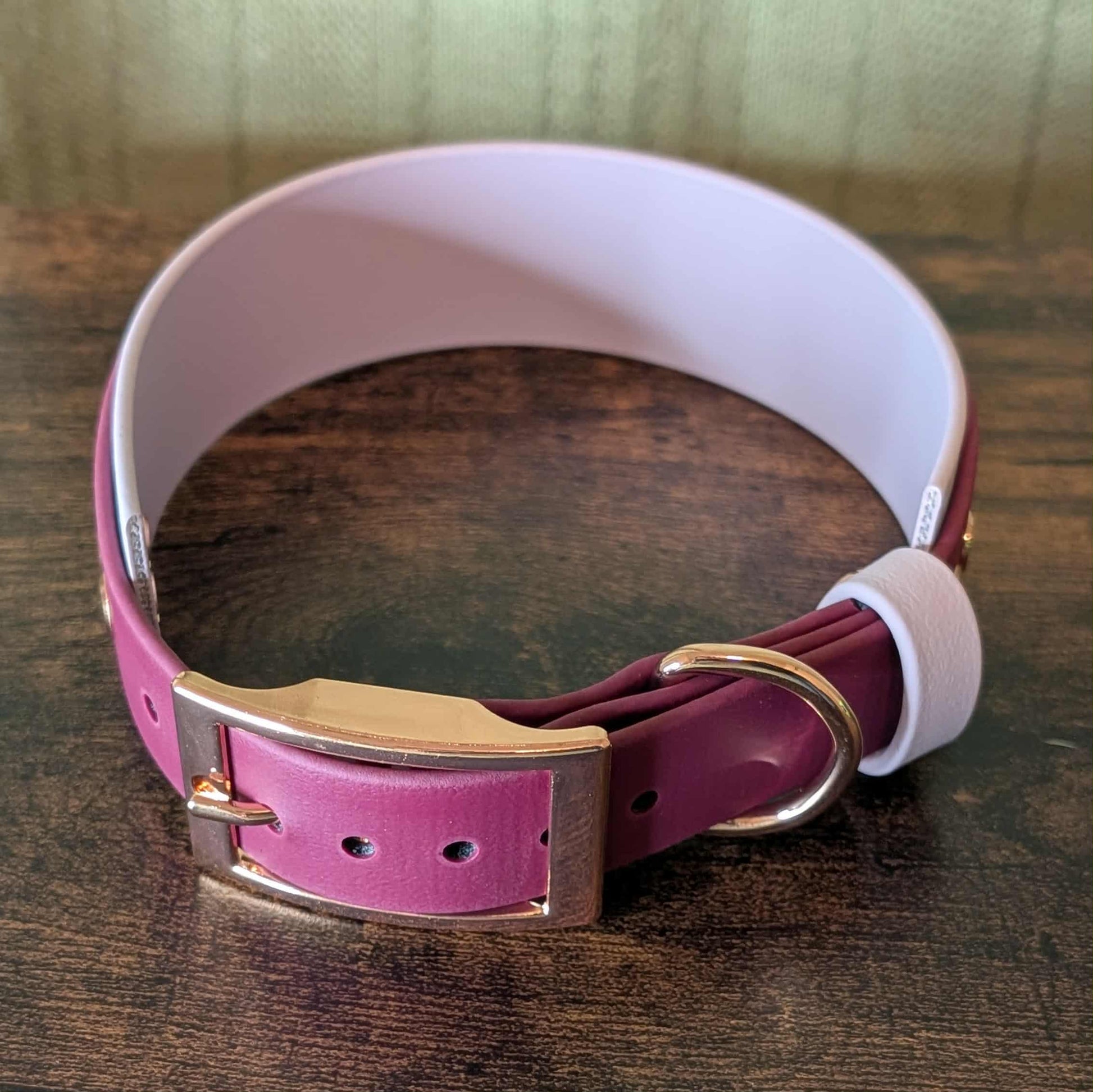 lavender and wine layered biothane with rose gold hardware halloween dog collar