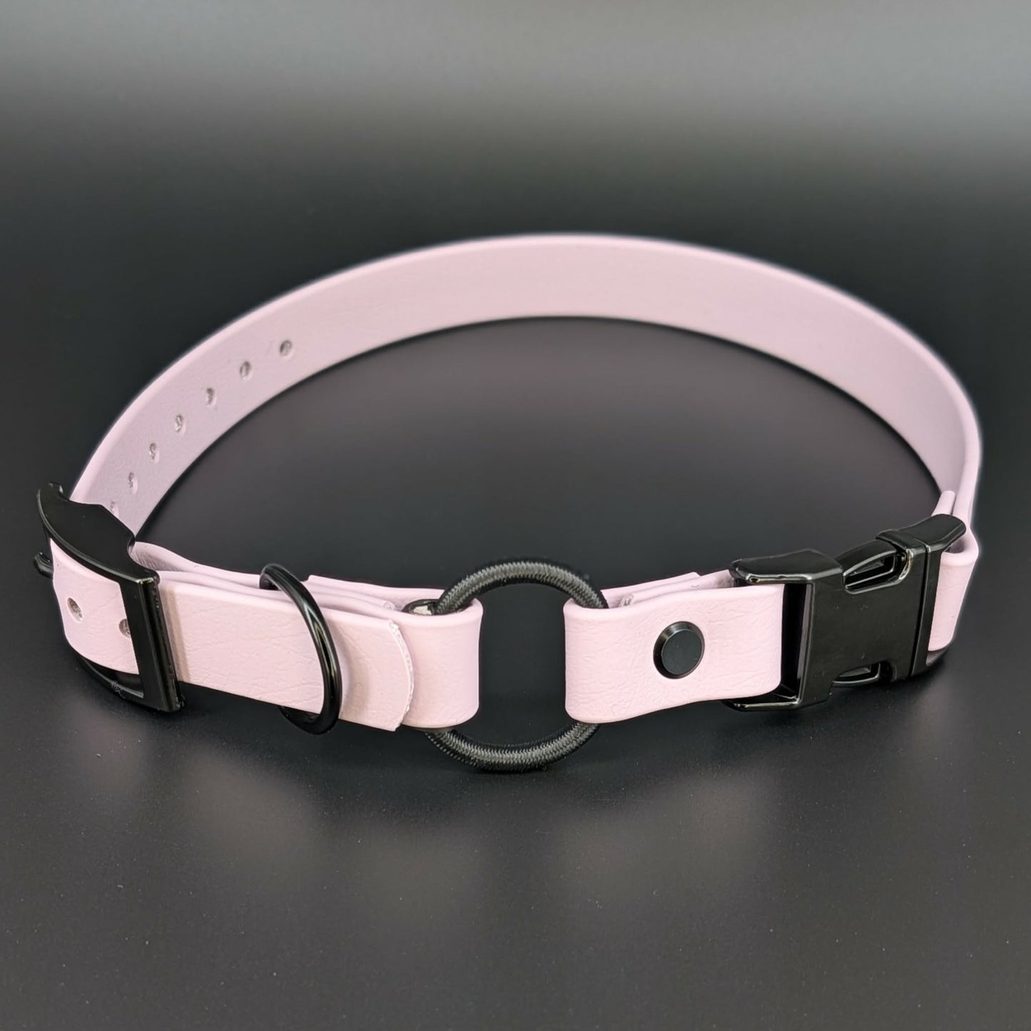 lavender biothane e-collar strap with bungee and quick release buckle