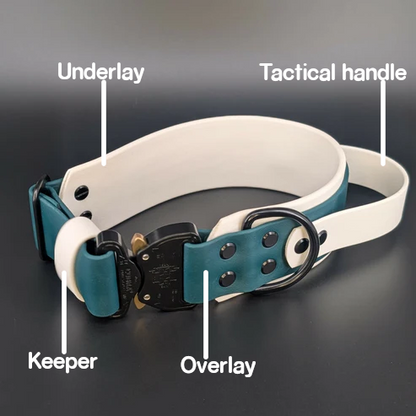layered biothane collar with quick release parts