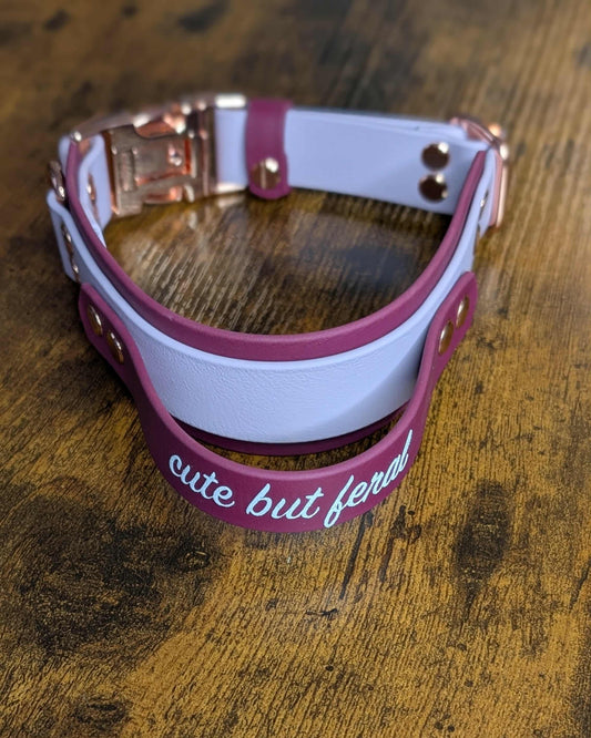 layered biothane dog collar with tactical handle 