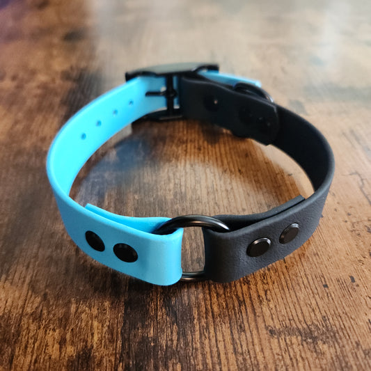 light blue and black biothane dog collar