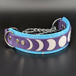 light blue and dark purple layered biothane martingale moon phases dog collar