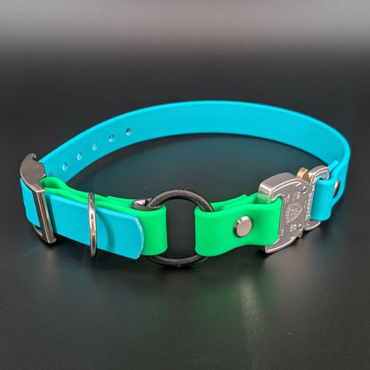 light blue and light green biothane e-collar strap with bungee and quick release cobra buckle