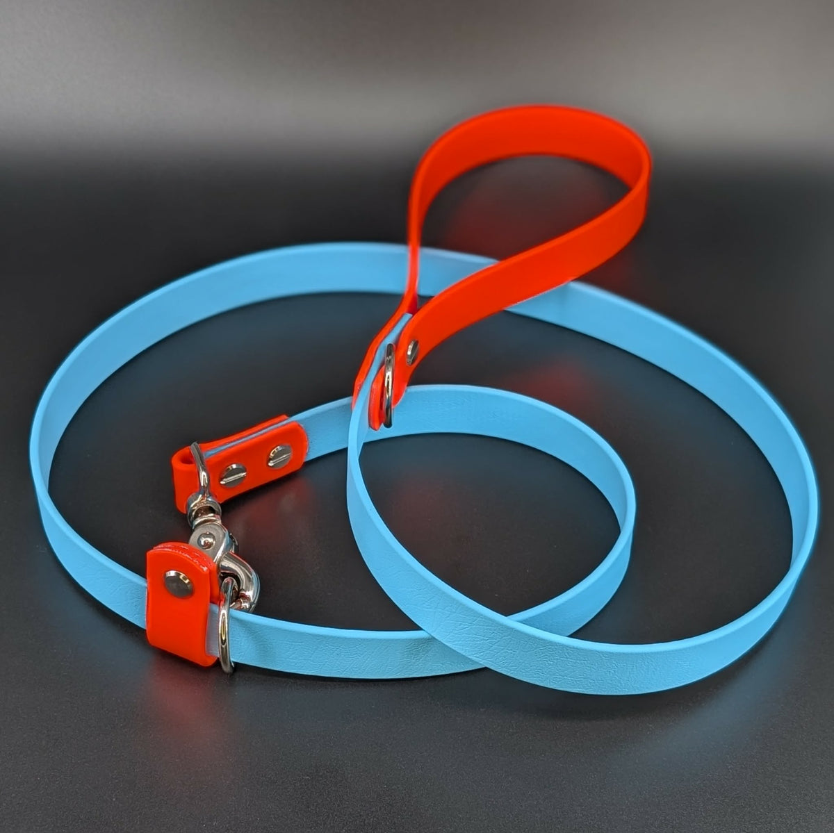 light blue and orange biothane convertible slip leash for large dog training