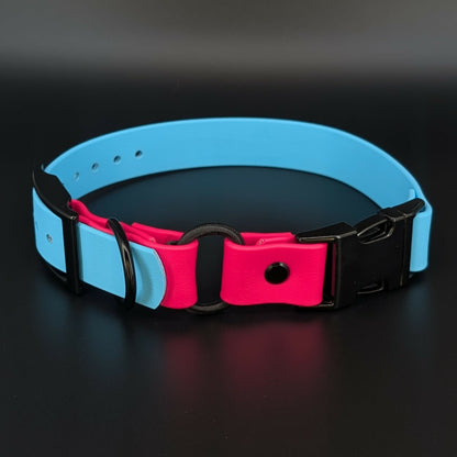 light blue and pink biothane e-collar strap with bungee and quick release buckle
