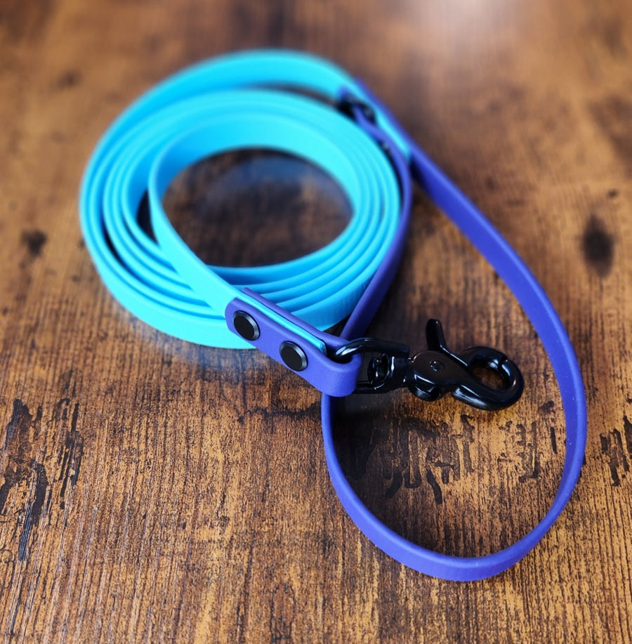 light blue and purple biothane dog leash