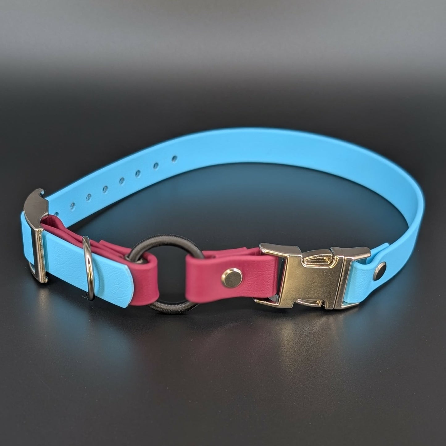 light blue and wine biothane e-collar strap with bungee and quick release buckle