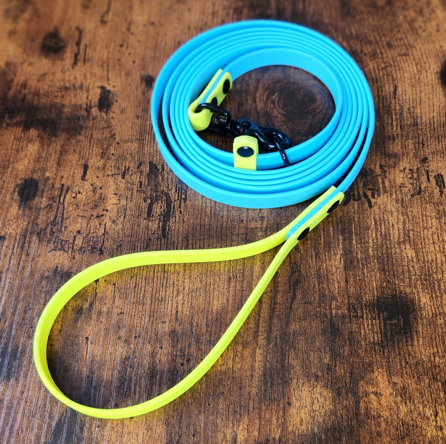 light blue and yellow biothane slip lead with quick release clip