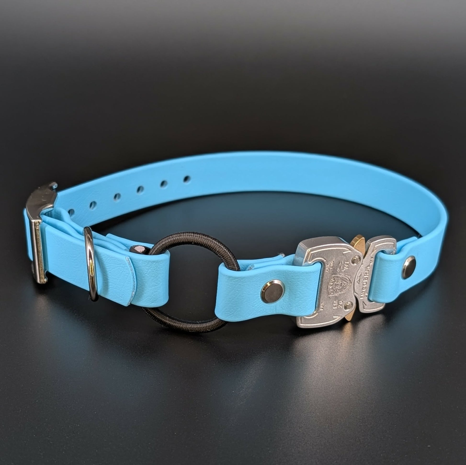 light blue biothane e-collar strap with bungee and quick release cobra buckle