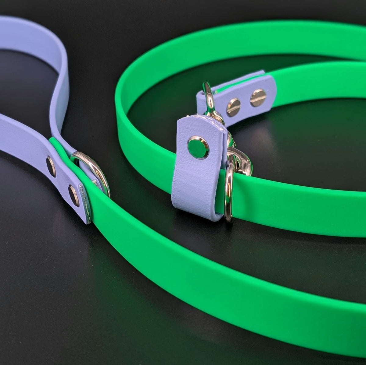 light green and periwinkle biothane convertible slip leash