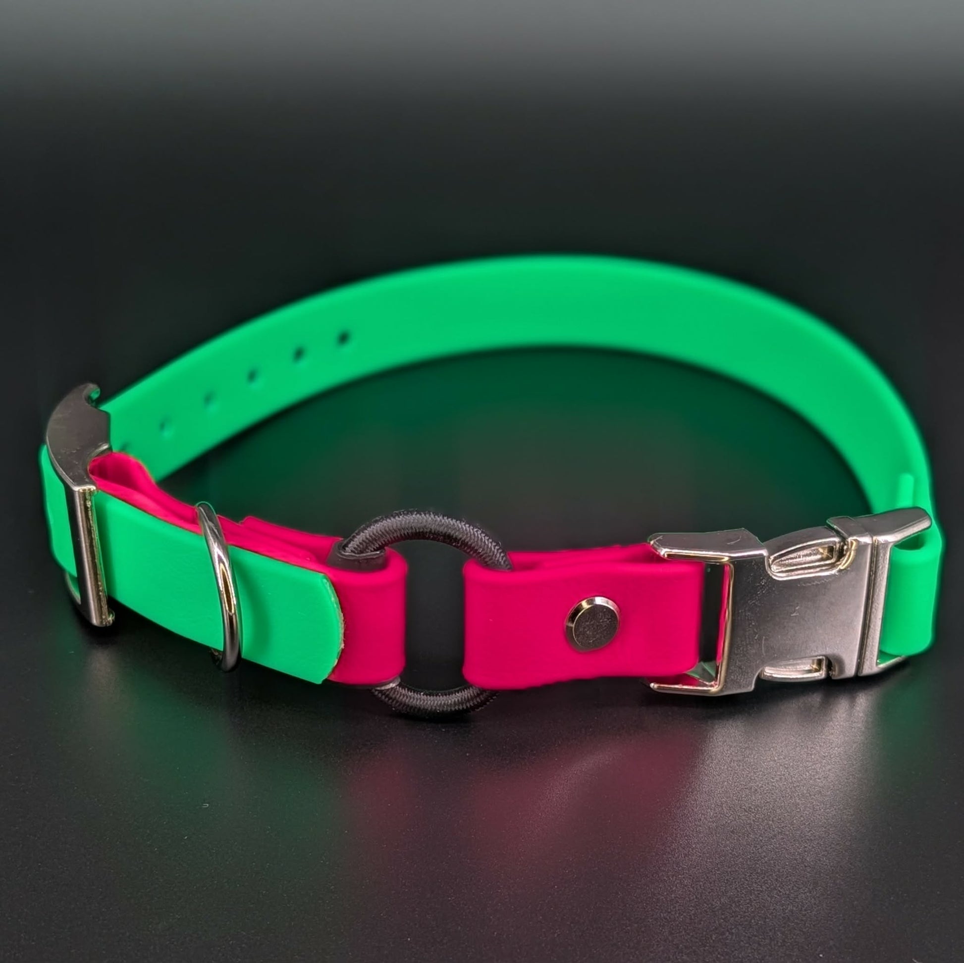 light green and pink biothane e-collar strap with bungee and silver quick release buckle