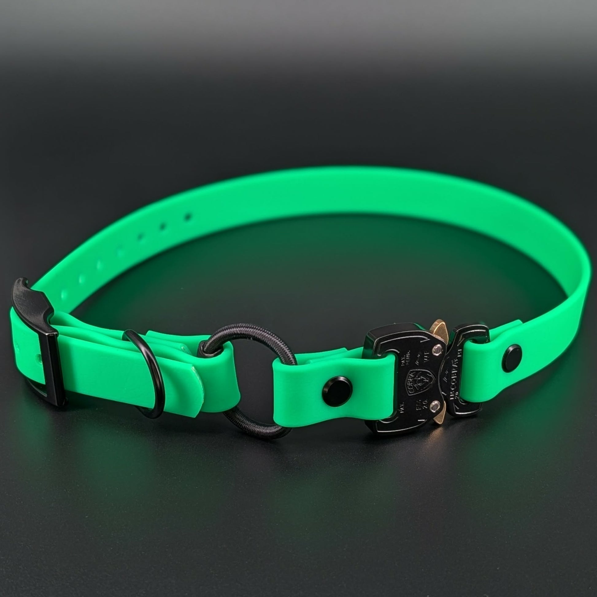 light green biothane e-collar strap with bungee and black quick release cobra buckle