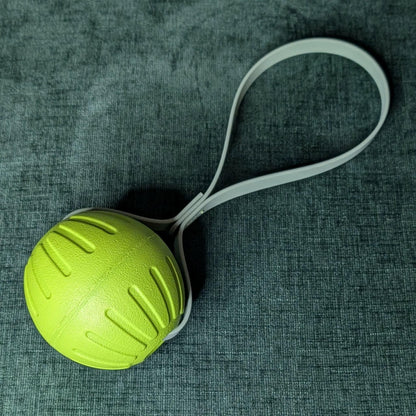 light green eva foam reward ball tug with mint biothane loop handle