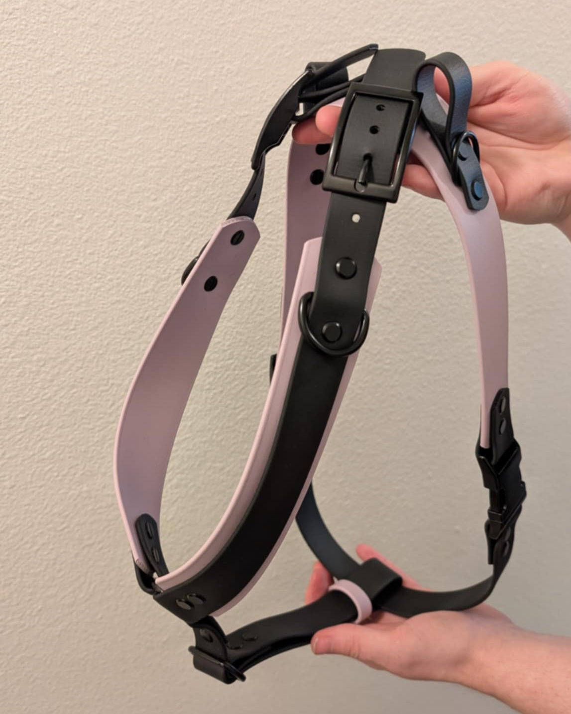 light purple and black biothane y-front service dog harness