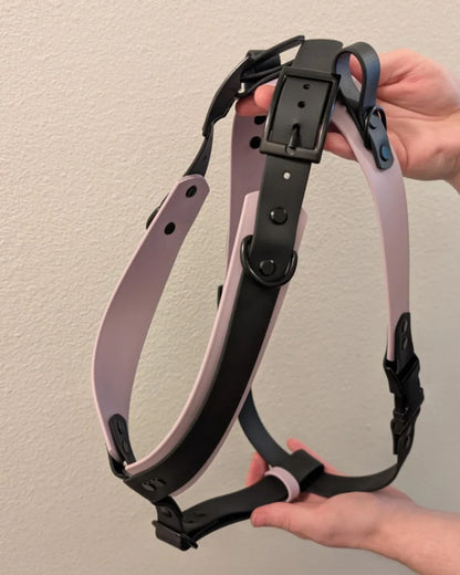 light purple and black biothane y-front service dog harness