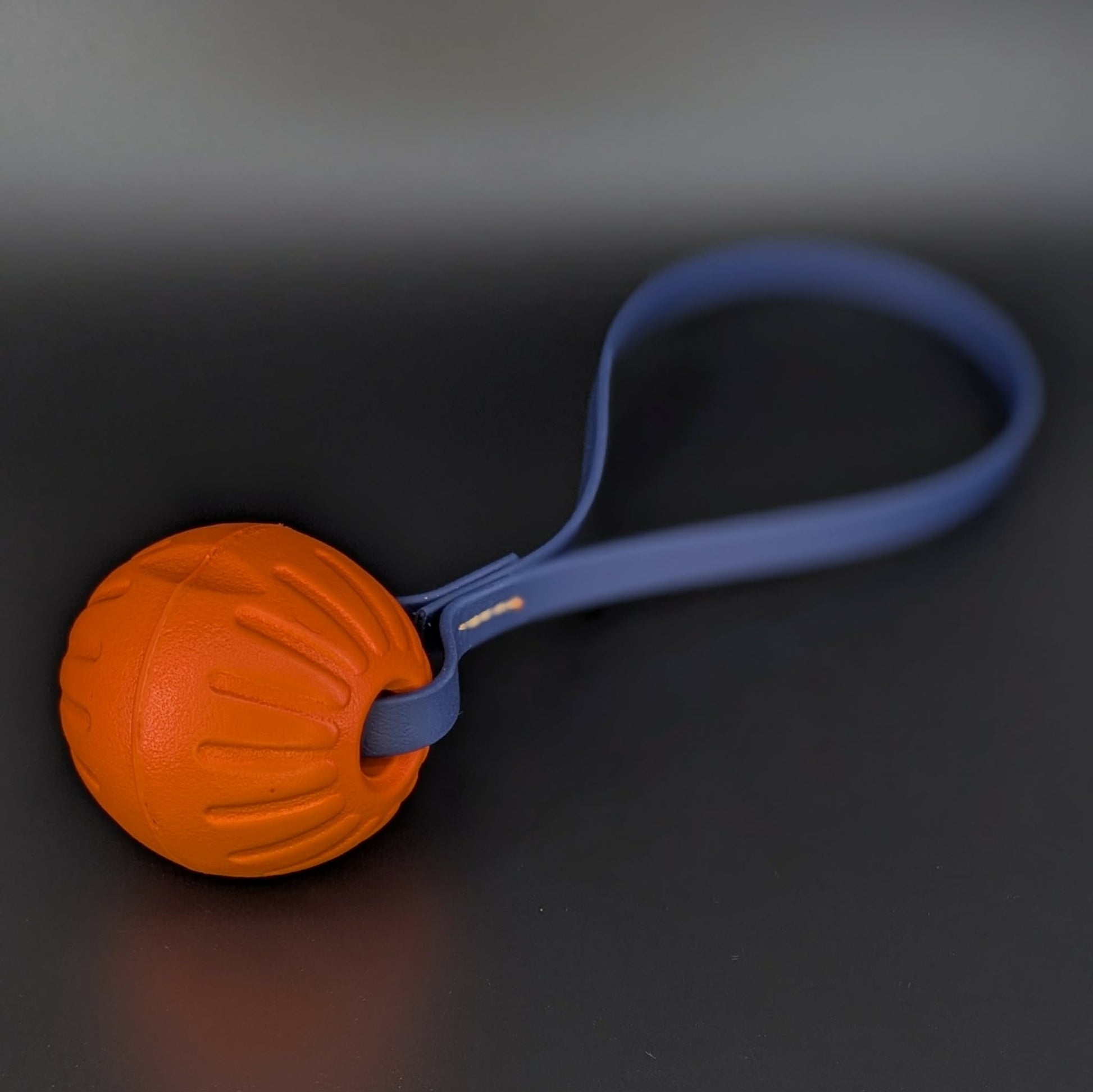 medium orange eva foam ball tug with a navy blue biothane loop handle