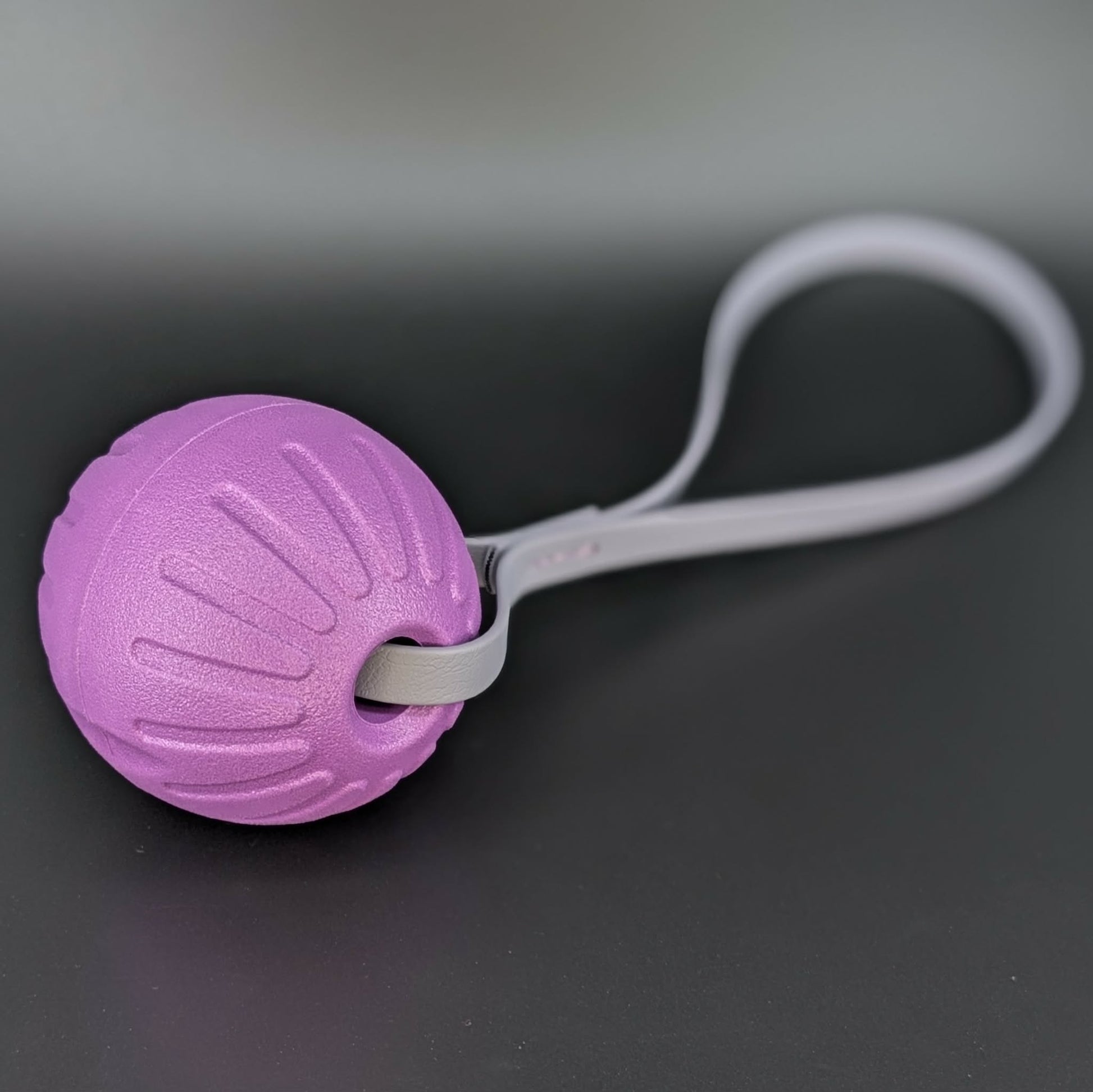 medium purple eva foam ball tug with a gray biothane loop handle