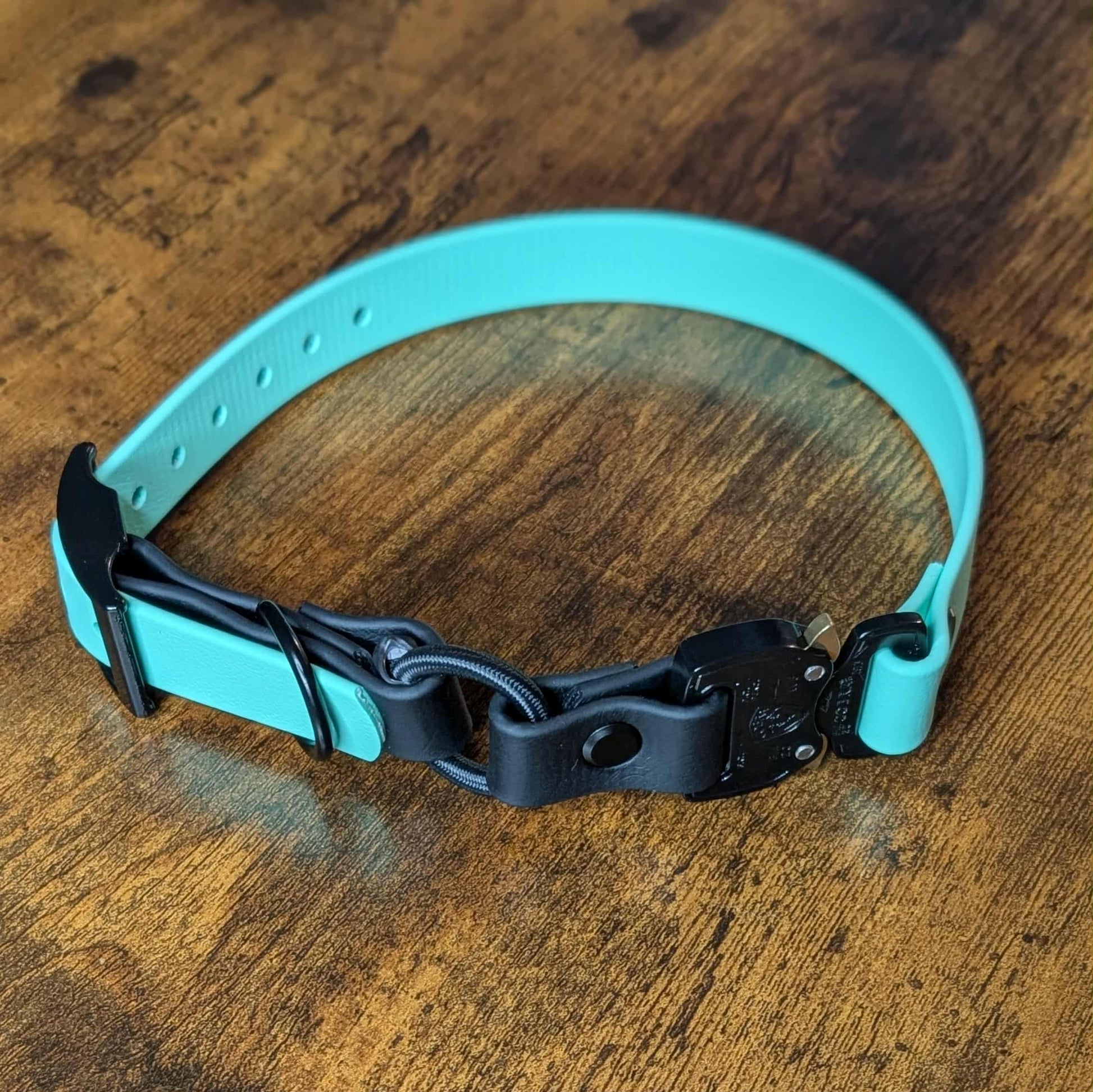 mint green and black biothane bungee e-collar strap with quick release cobra buckle