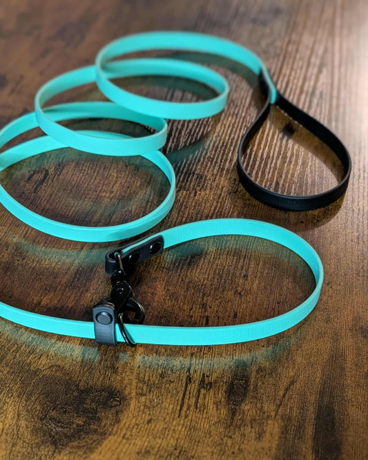 mint green and black biothane convertible quick release slip lead