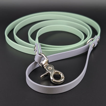 mint green and gray biothane dog leash