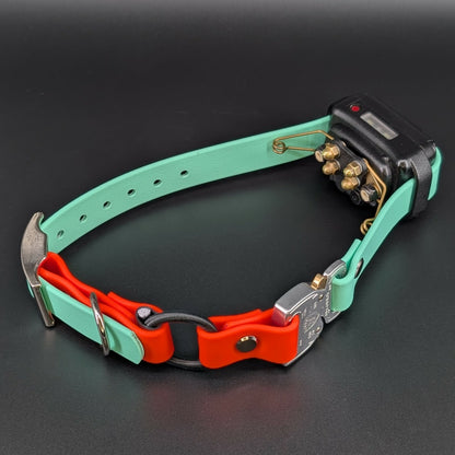 mint green and orange biothane e-collar strap with bungee and quick release cobra buckle on a mini educator et-300
