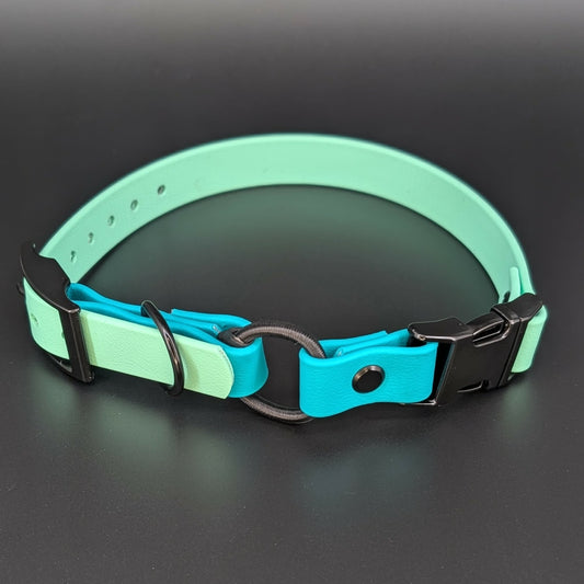 mint green and teal biothane e-collar strap with bungee and quick release buckle
