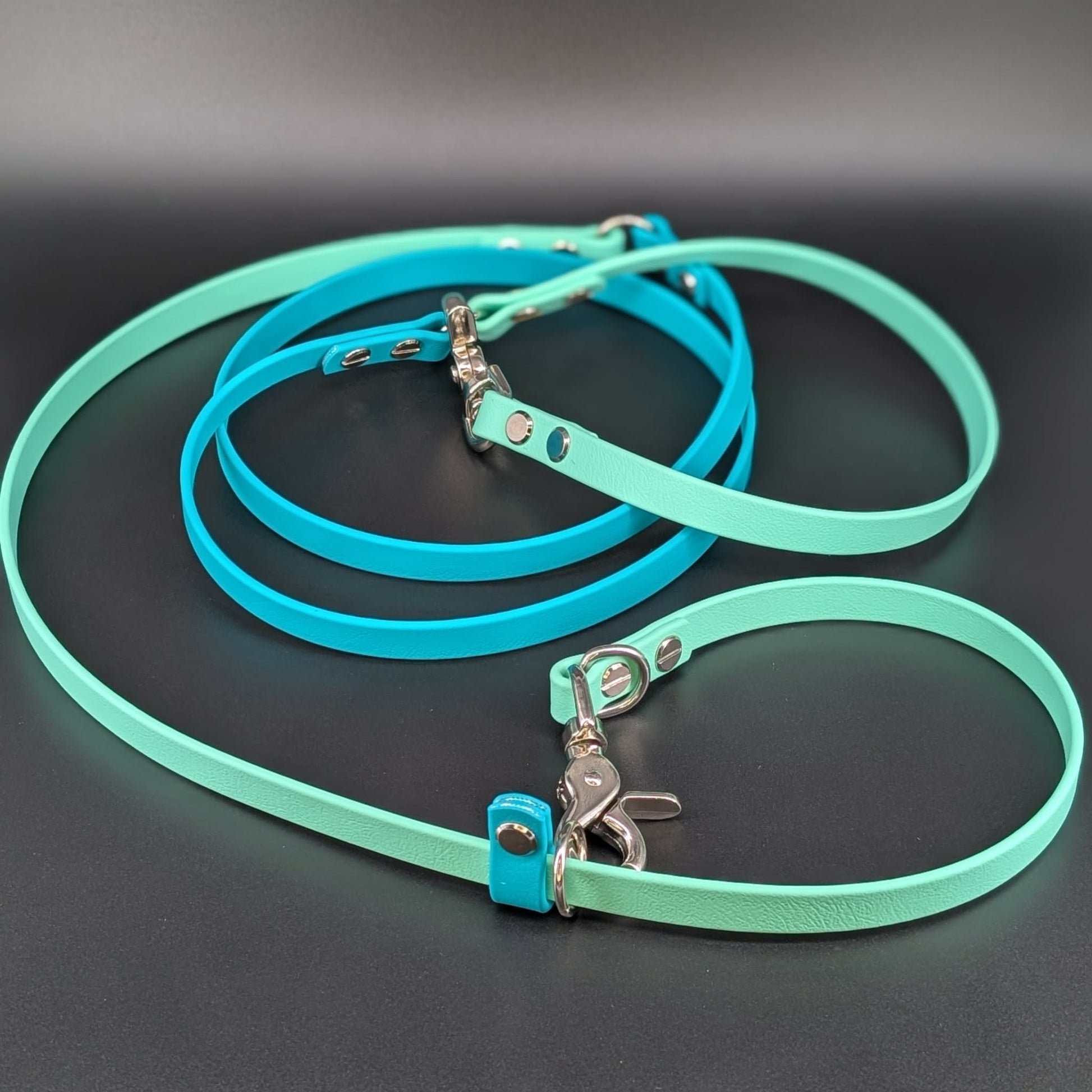 mint green and teal biothane hands free over the shoulder convertible slip leash