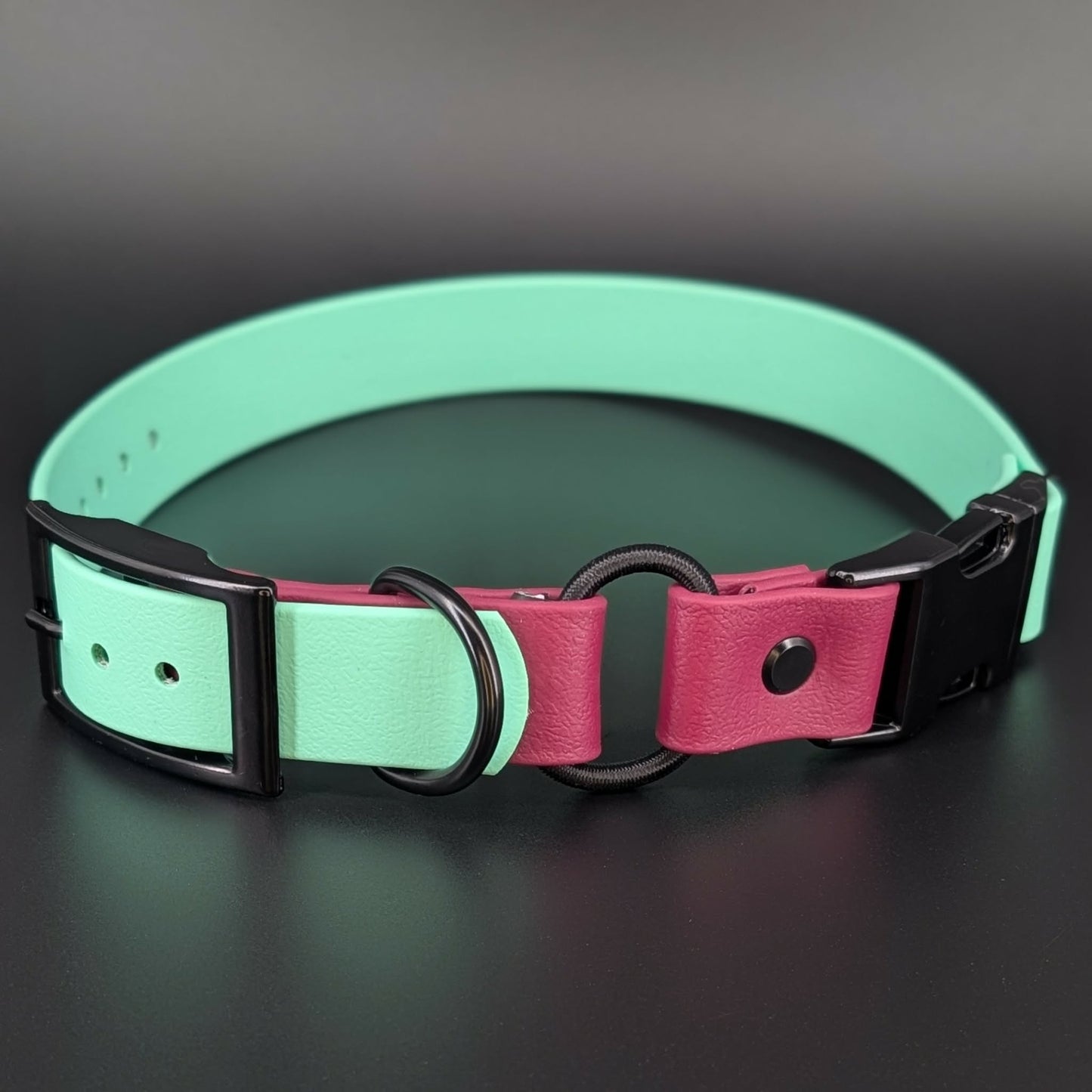mint green and wine biothane e-collar strap with bungee and quick release buckle