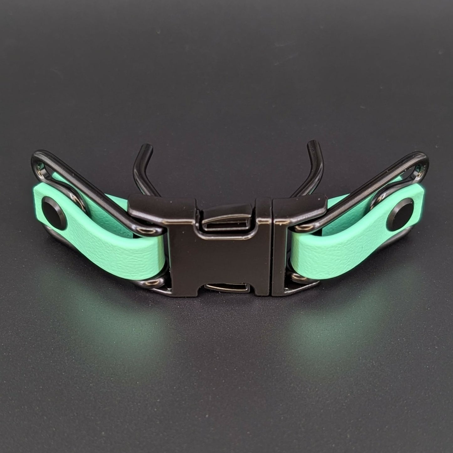 mint green biothane with black hardware quick release buckle attachment for prong collar