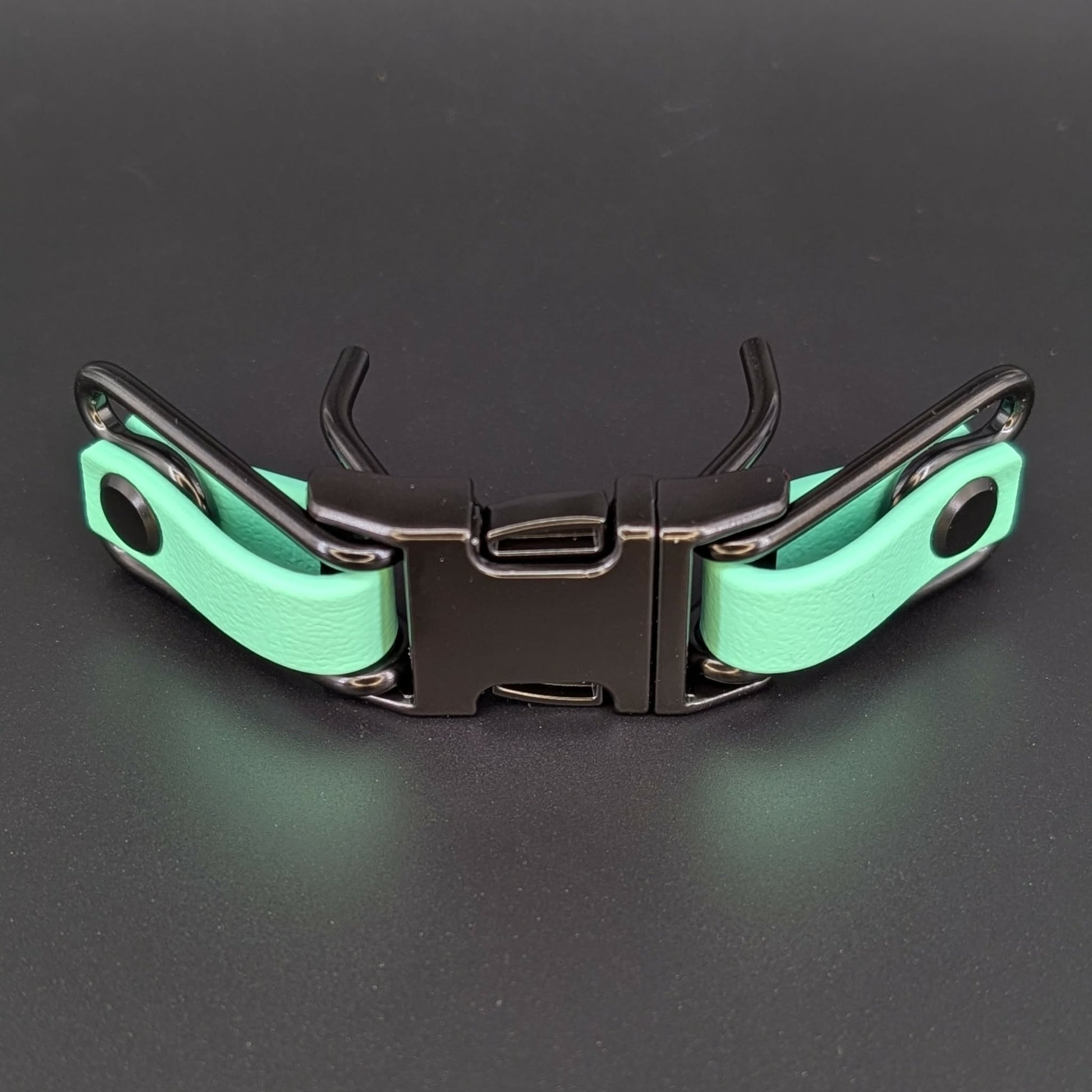 mint green biothane with black hardware quick release buckle attachment for prong collar