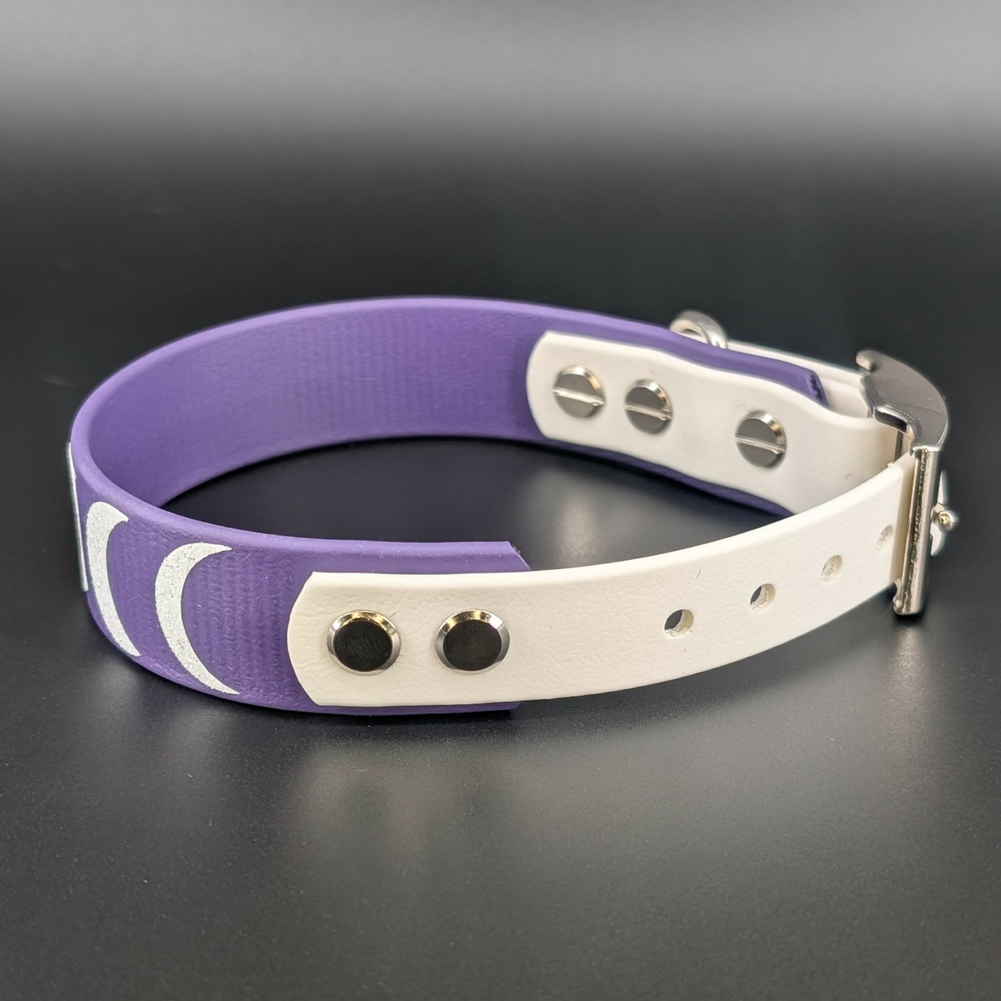 moon phases collar for small dog