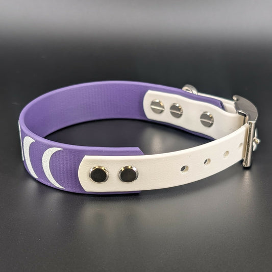 moon phases collar for small dog