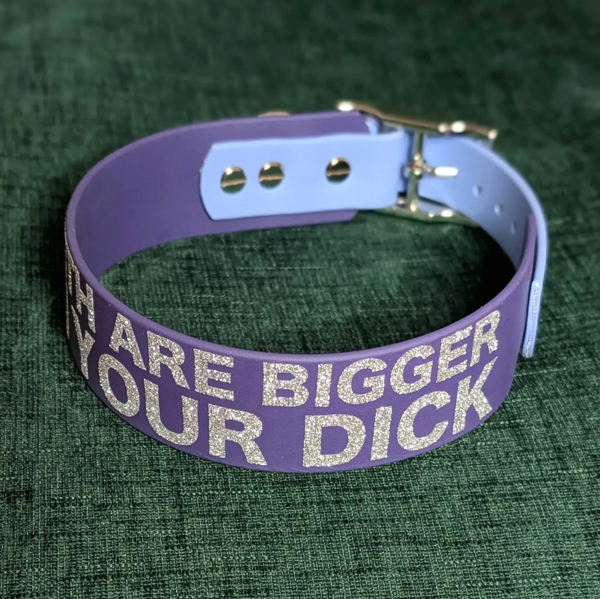 my teeth are bigger than your dick tapered biothane dog collar