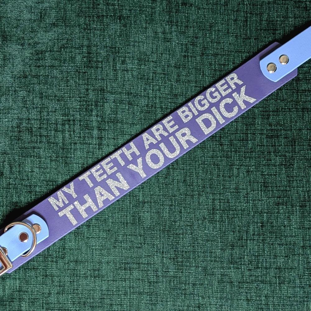 my teeth are bigger than your dick tapered biothane dog collar in purple and periwnkle