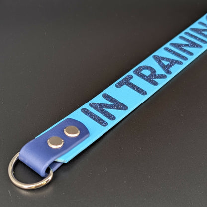 navy and light blue biothane leash alternative wrap with in training text