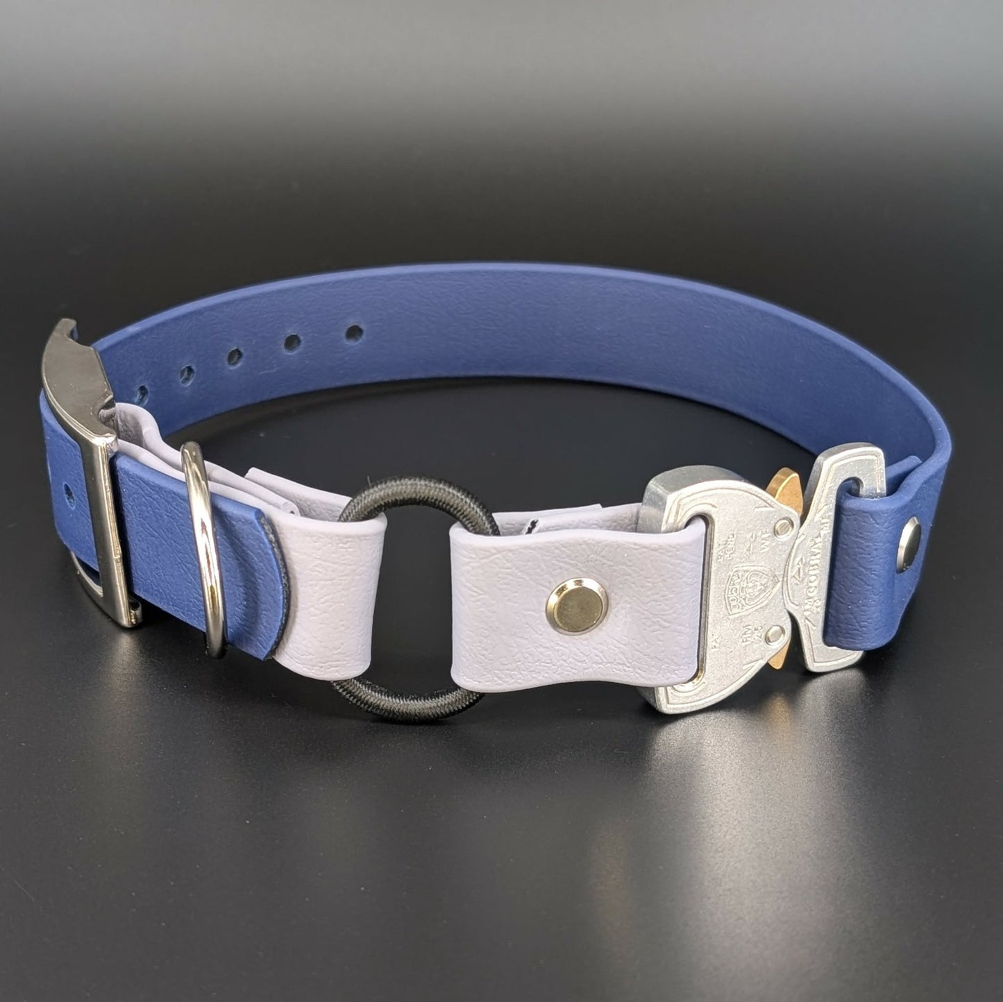 navy blue and gray biothane e-collar strap with bungee and quick release cobra buckle