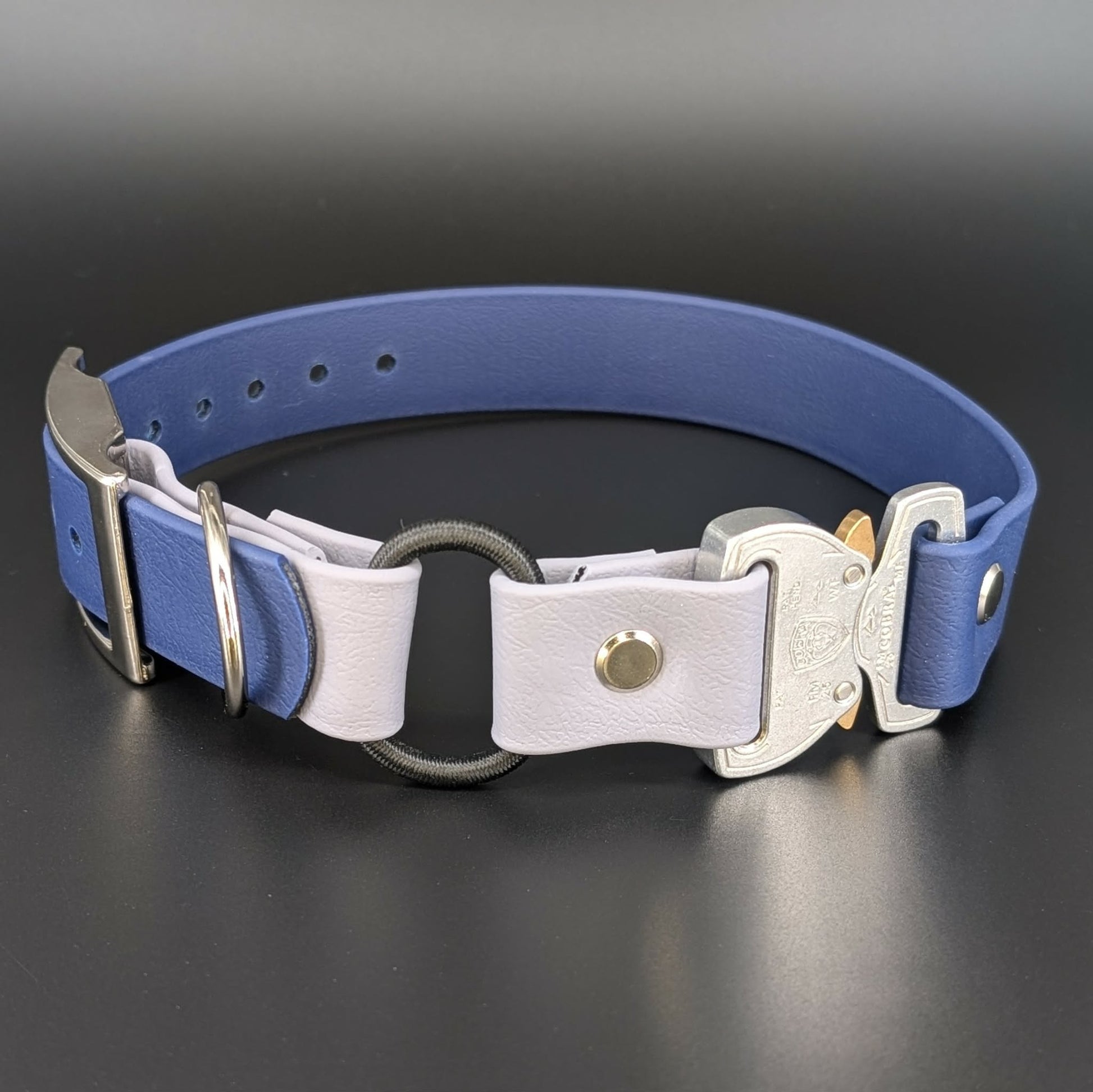 navy blue and gray biothane e-collar strap with bungee and quick release cobra buckle
