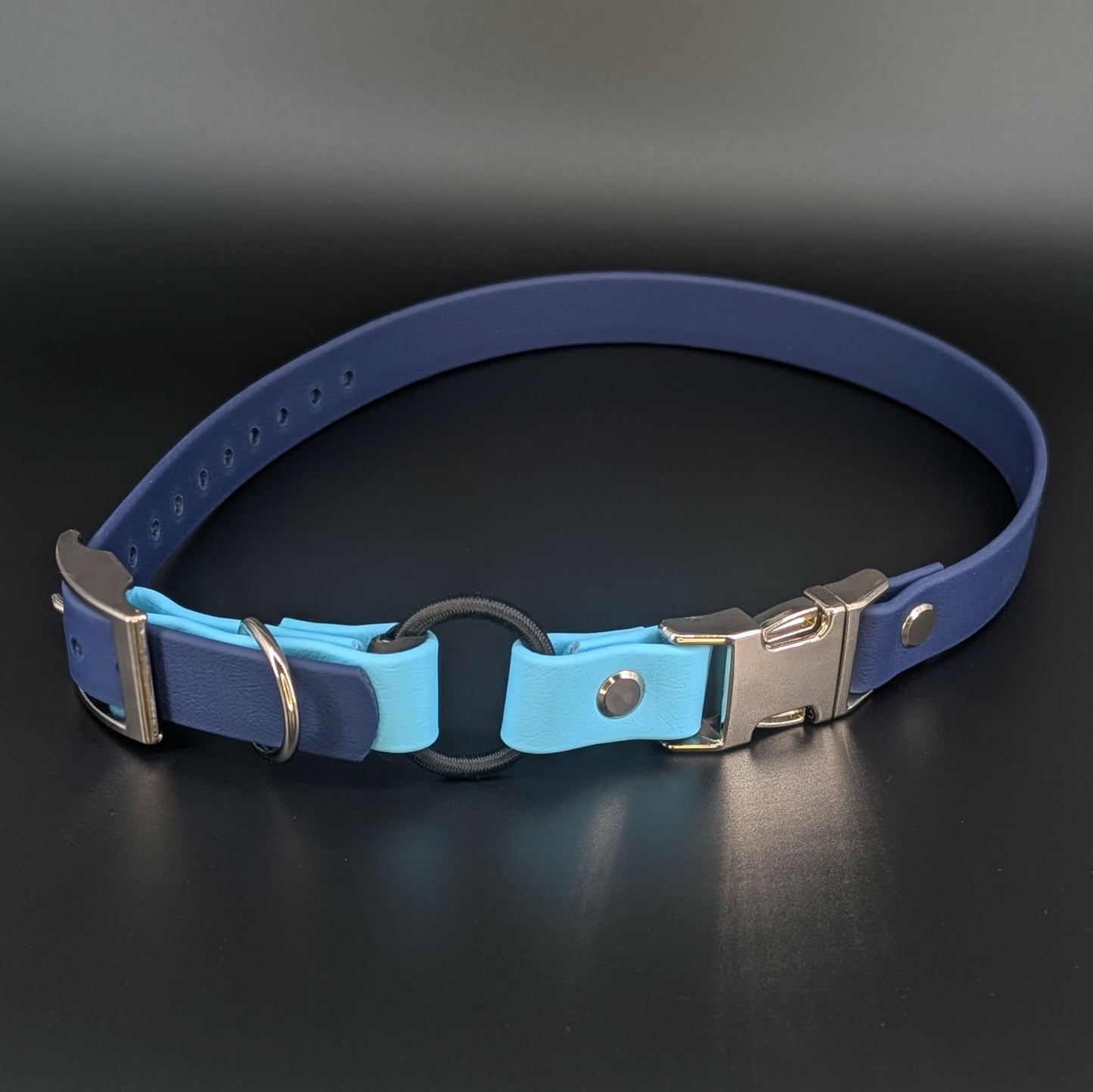 navy blue and light blue biothane e-collar strap with bungee and quick release buckle