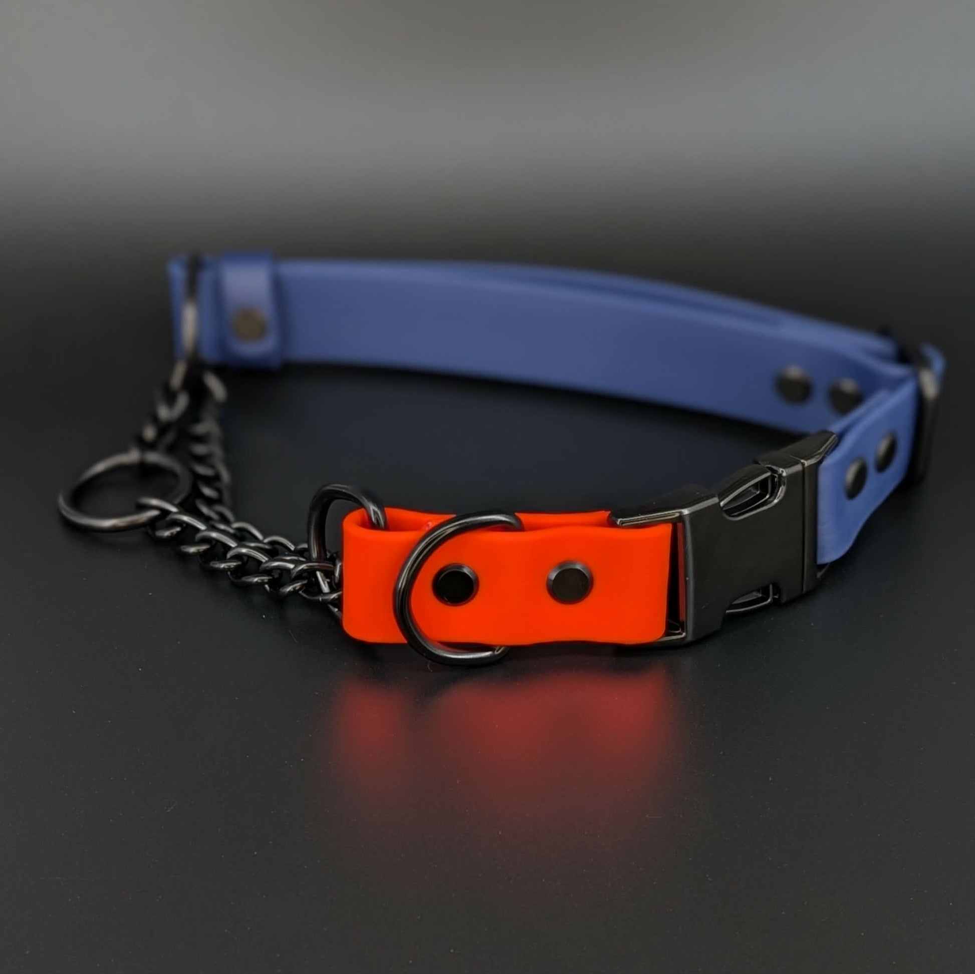 navy blue and orange biothane chain martingale dog collar with quick release buckle
