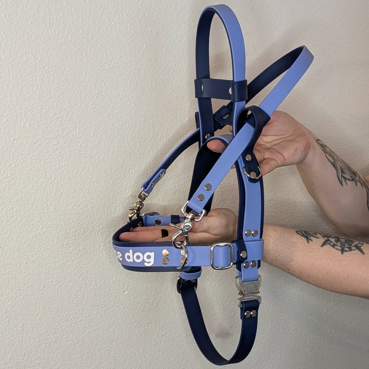 navy blue and periwinkle layered biothane mobility service dog harness with counterbalance handle and pull strap