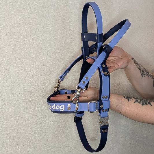 navy blue and periwinkle layered biothane mobility service dog harness with counterbalance handle and pull strap