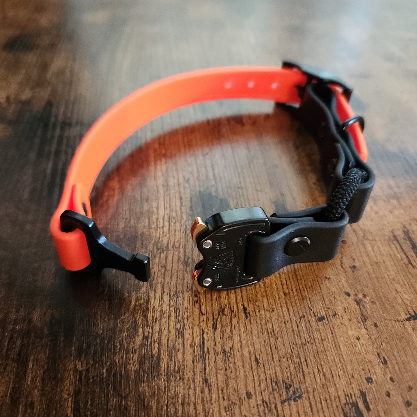 orange and black biothane bungee e-collar strap with quick release cobra buckle