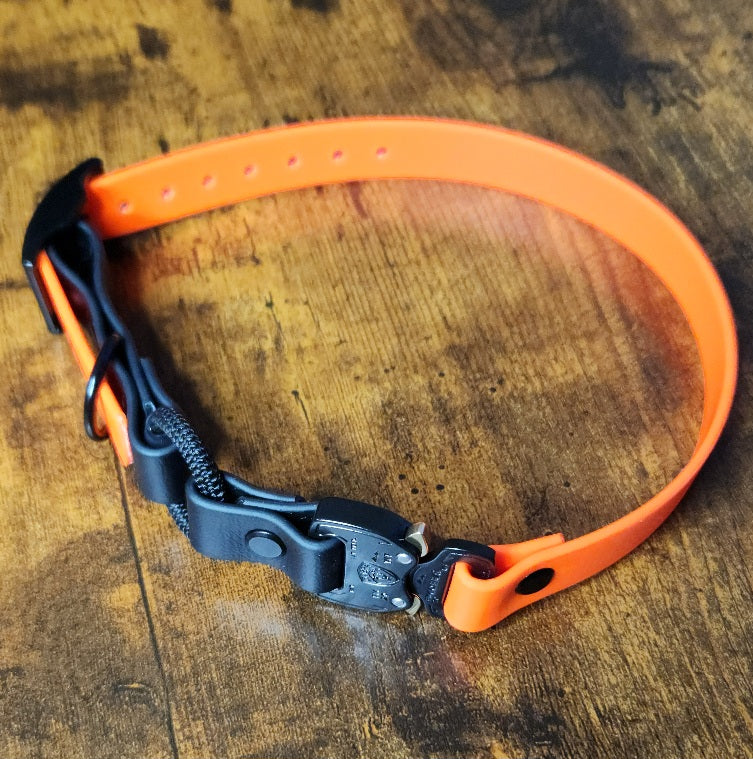orange and black biothane bungee e-collar strap with quick release cobra buckle