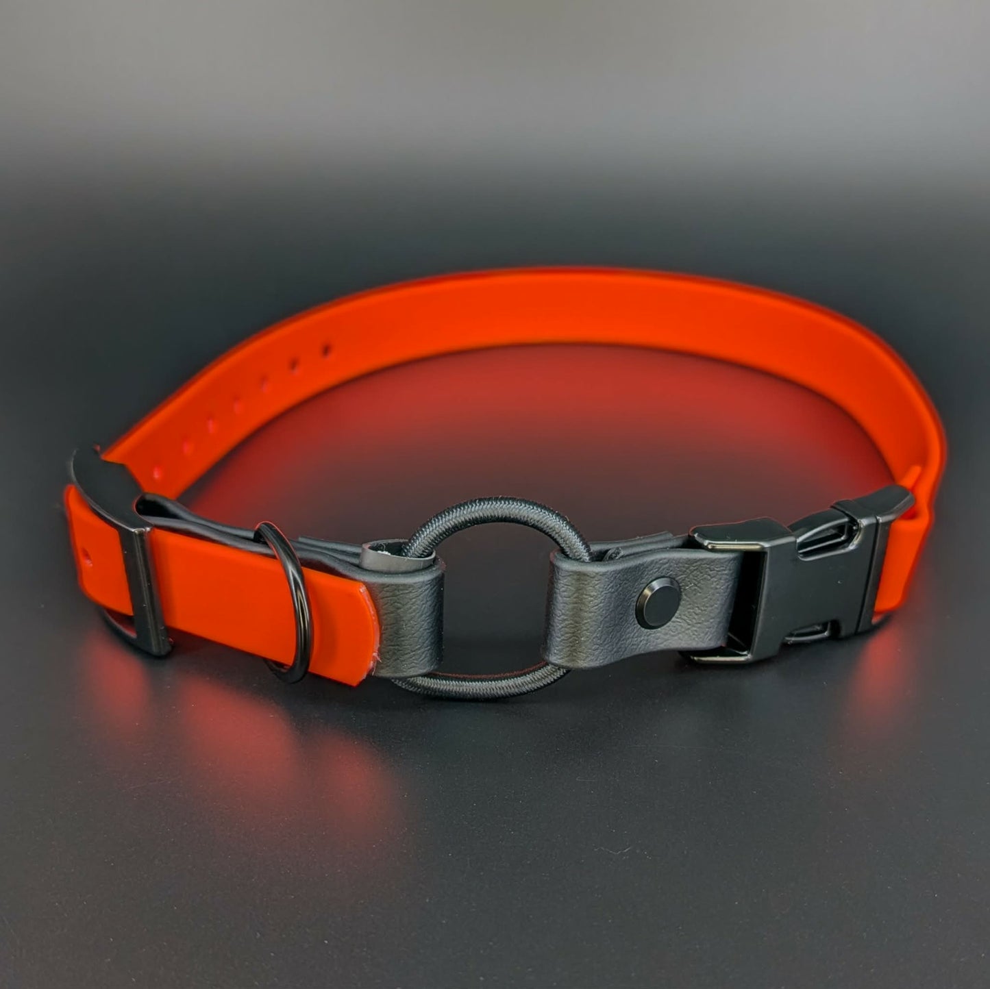 orange and black biothane e-collar strap with bungee and quick release buckle
