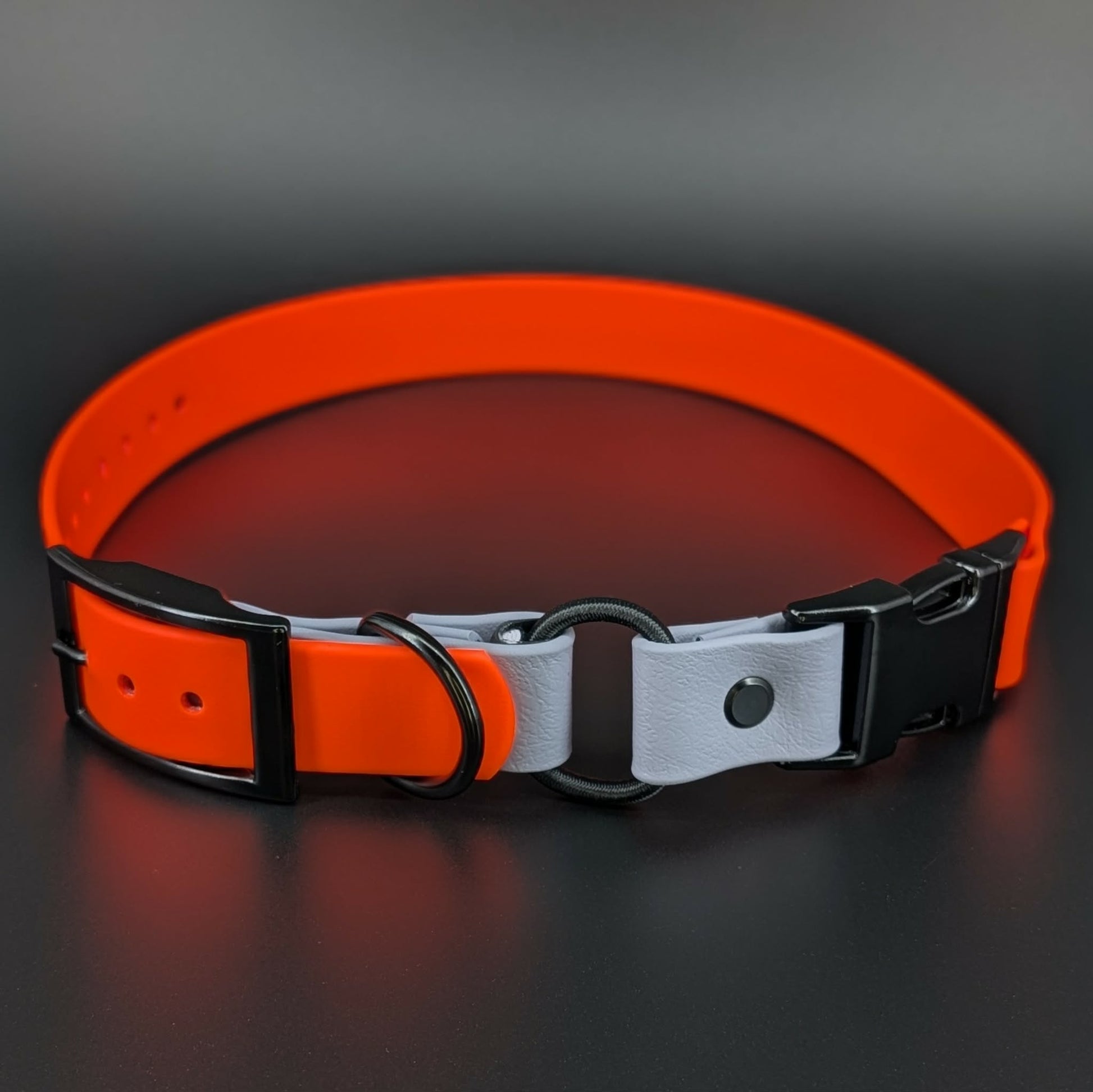orange and gray biothane e-collar strap with bungee and quick release buckle