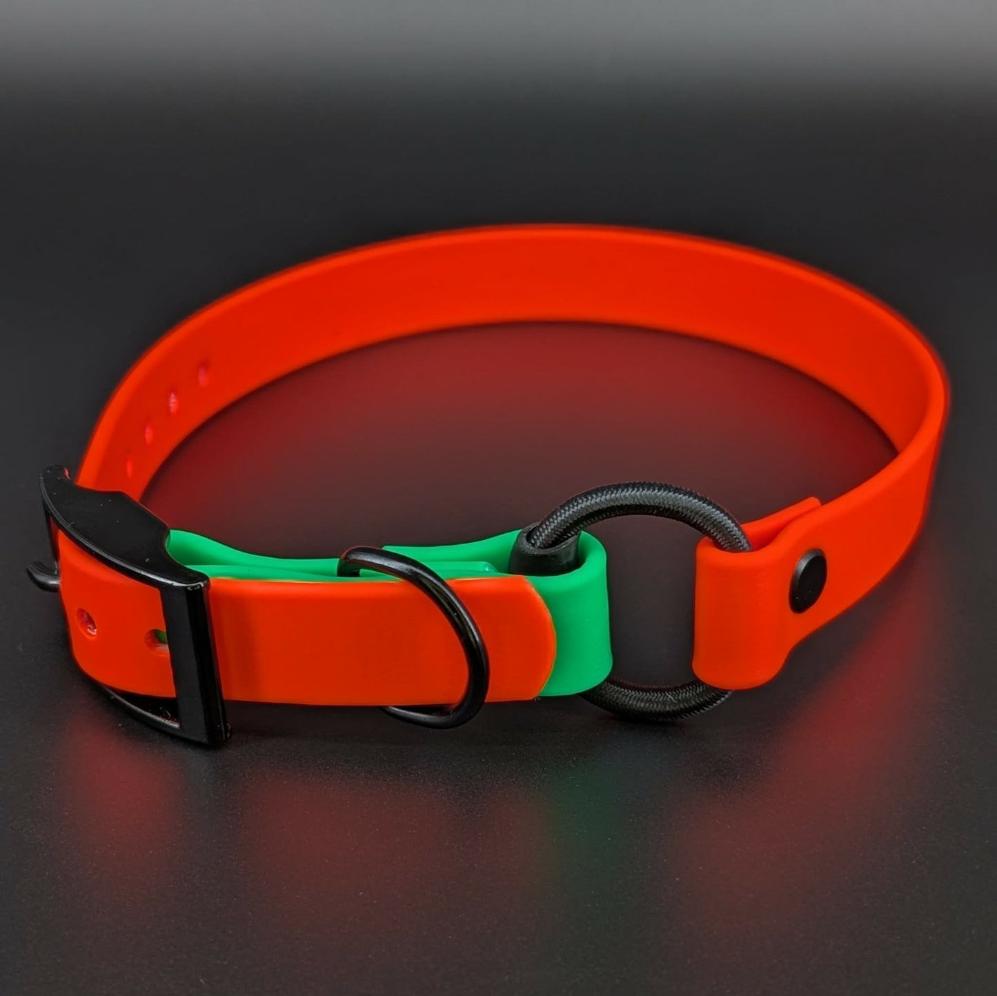 orange and light green biothane e-collar strap with bungee